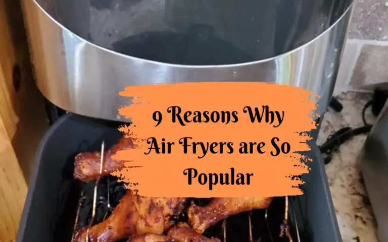 Reasons Why Air Fryers are So Popular