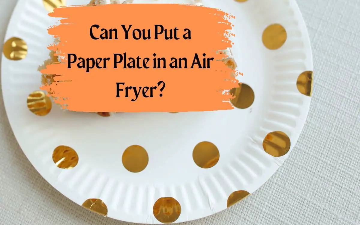 Can You Put a Paper Plate in an Air Fryer