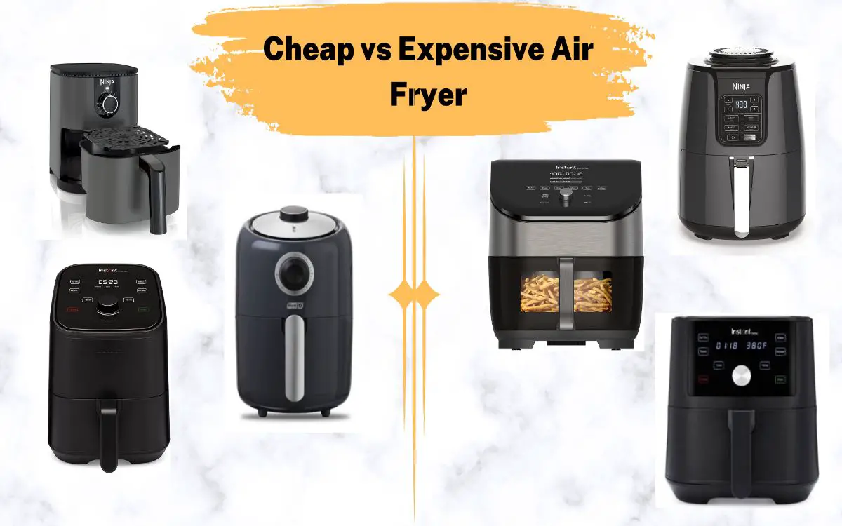 Cheap vs Expensive Air Fryer