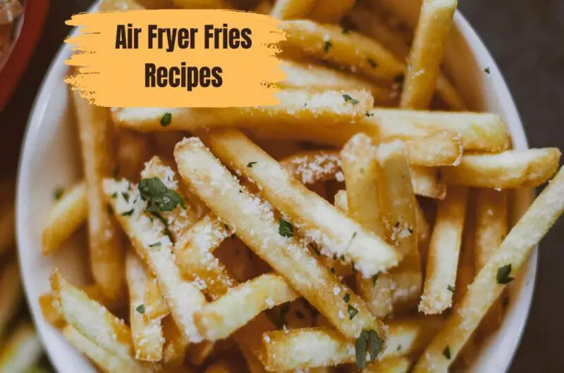 Air Fryer French Fries Recipes