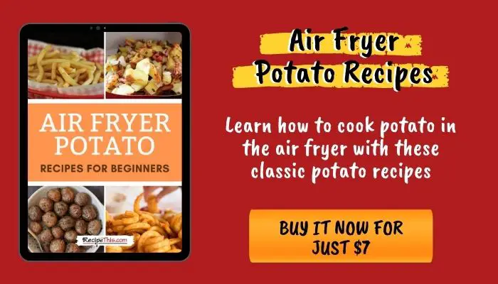 air fryer potato cookbook buy it now